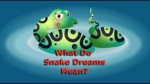 what do snake dreams mean