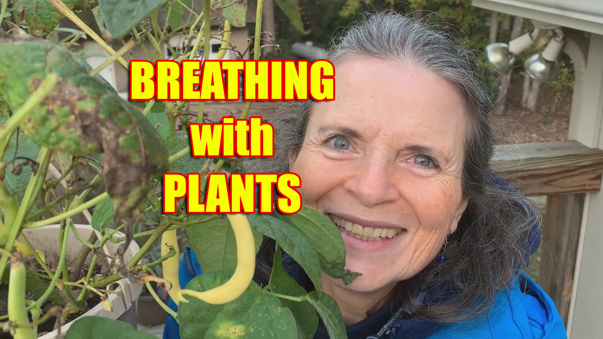 we breathe in what green plants breathe out