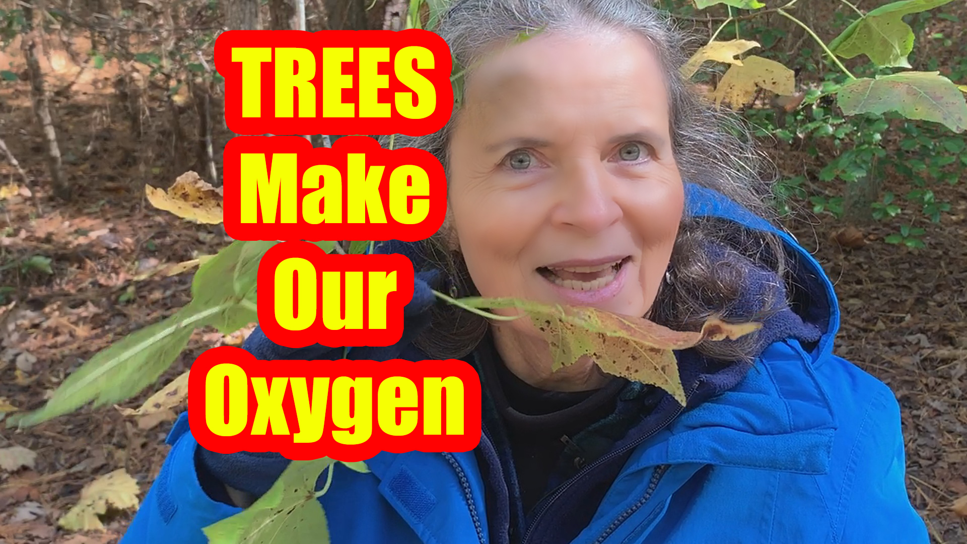 We Need Oxygen Made by Trees