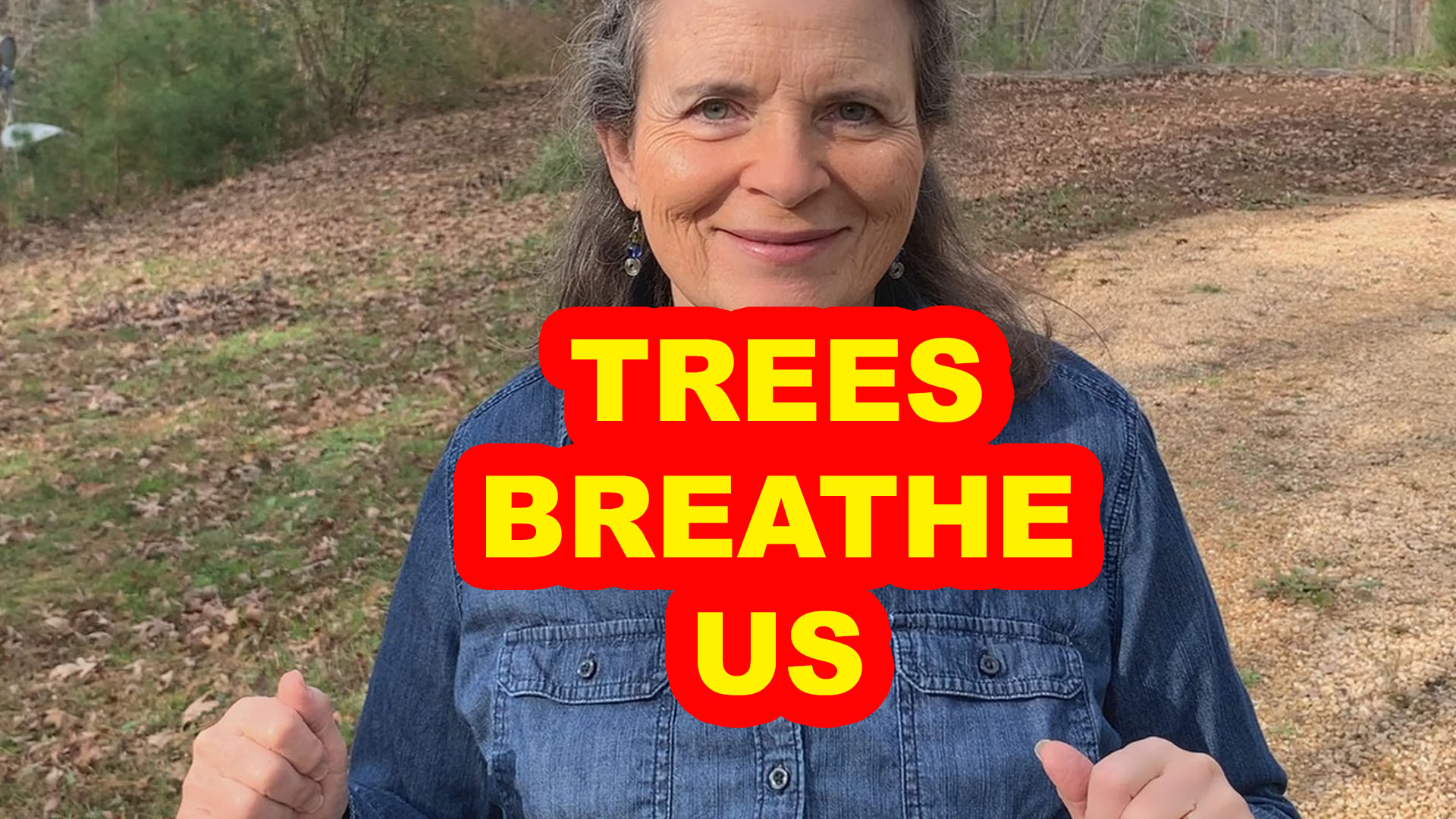trees breathe in what we breathe out
