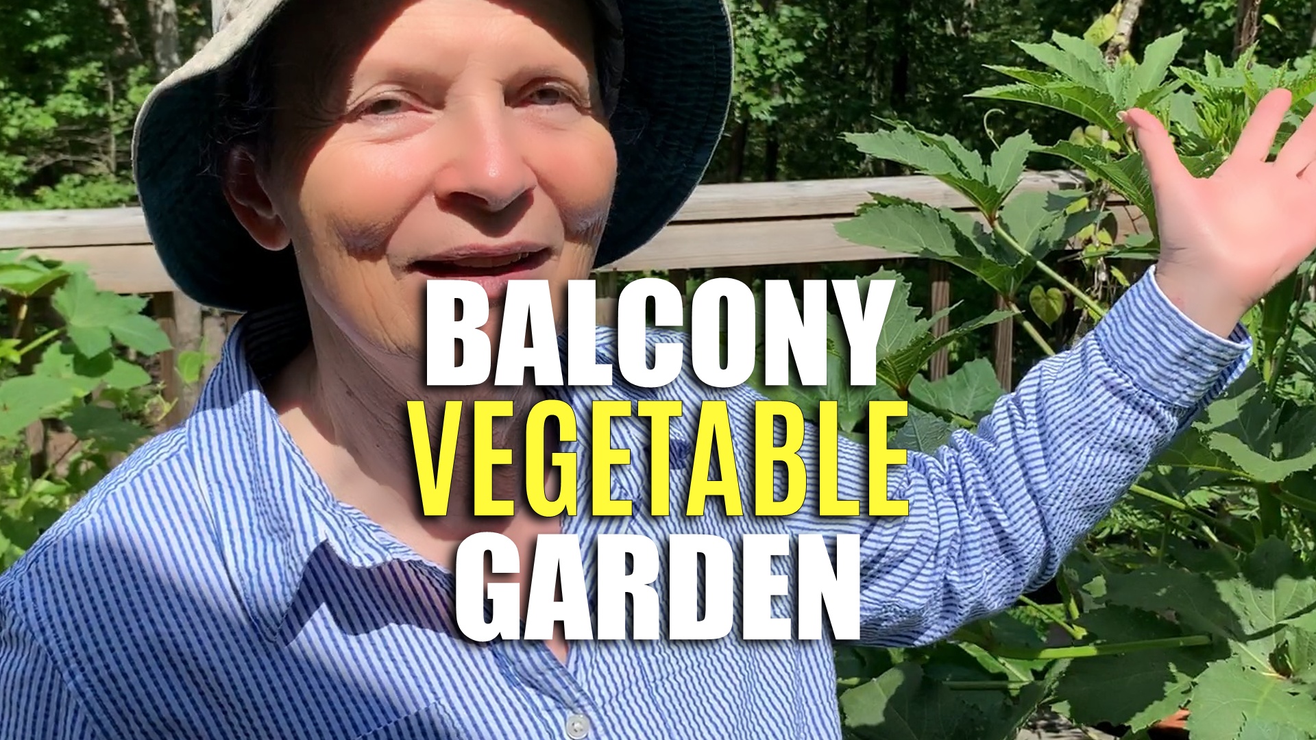 How to Grow a Balcony Vegetable Garden