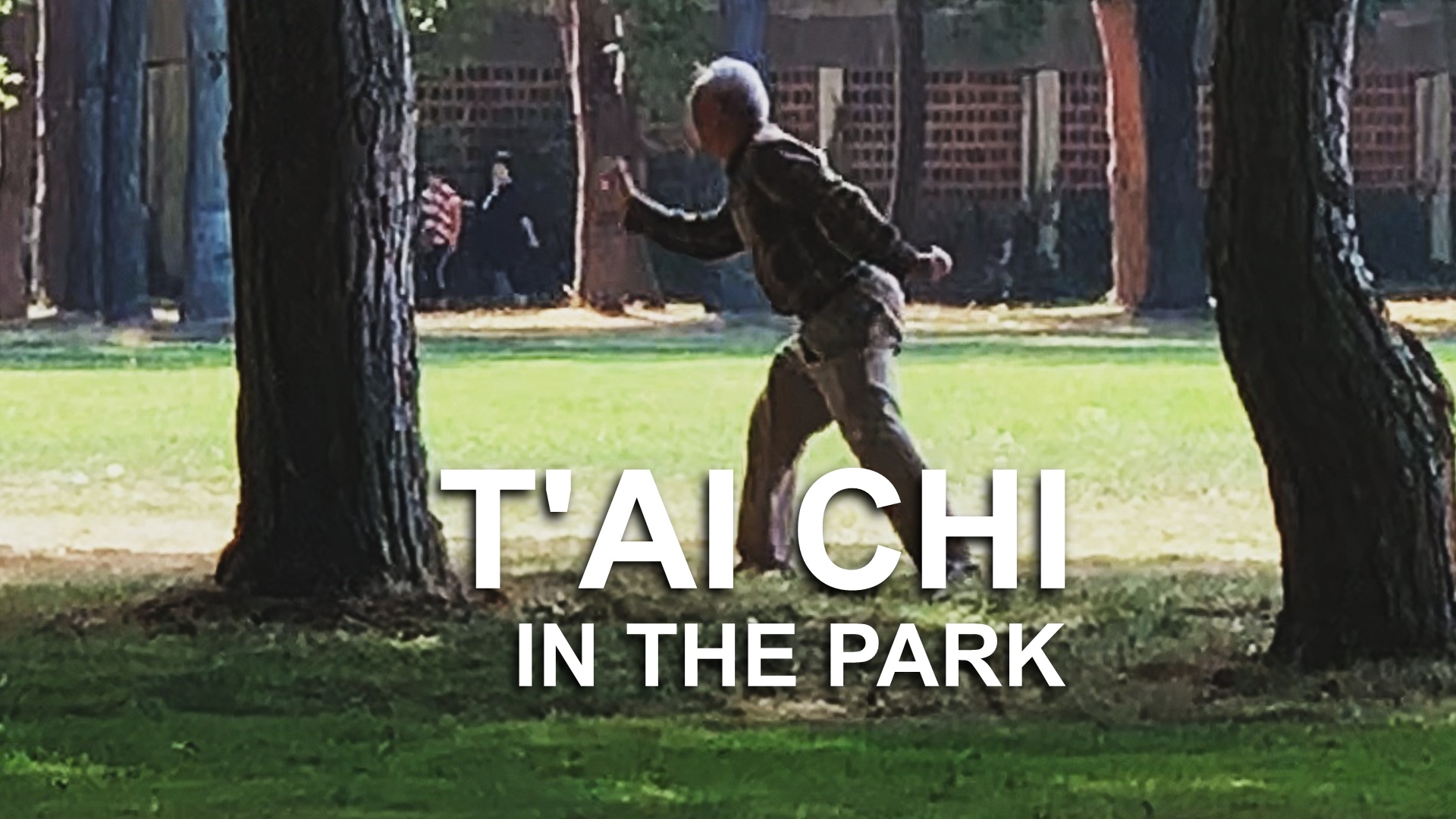 t'ai chi by chinese man